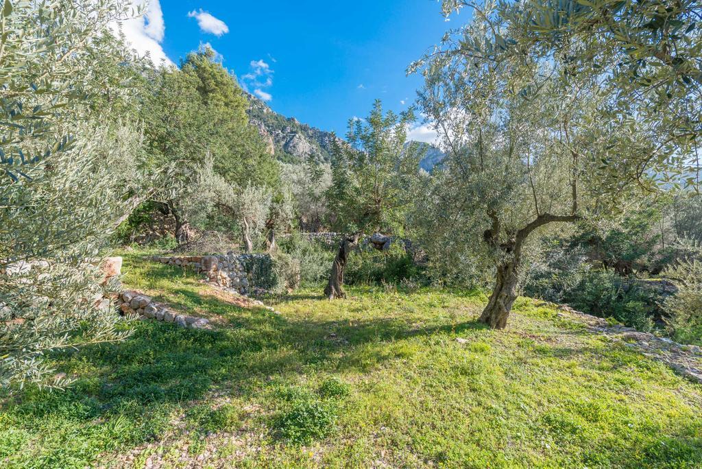 S'Olivaret Fornalutx Esterno foto