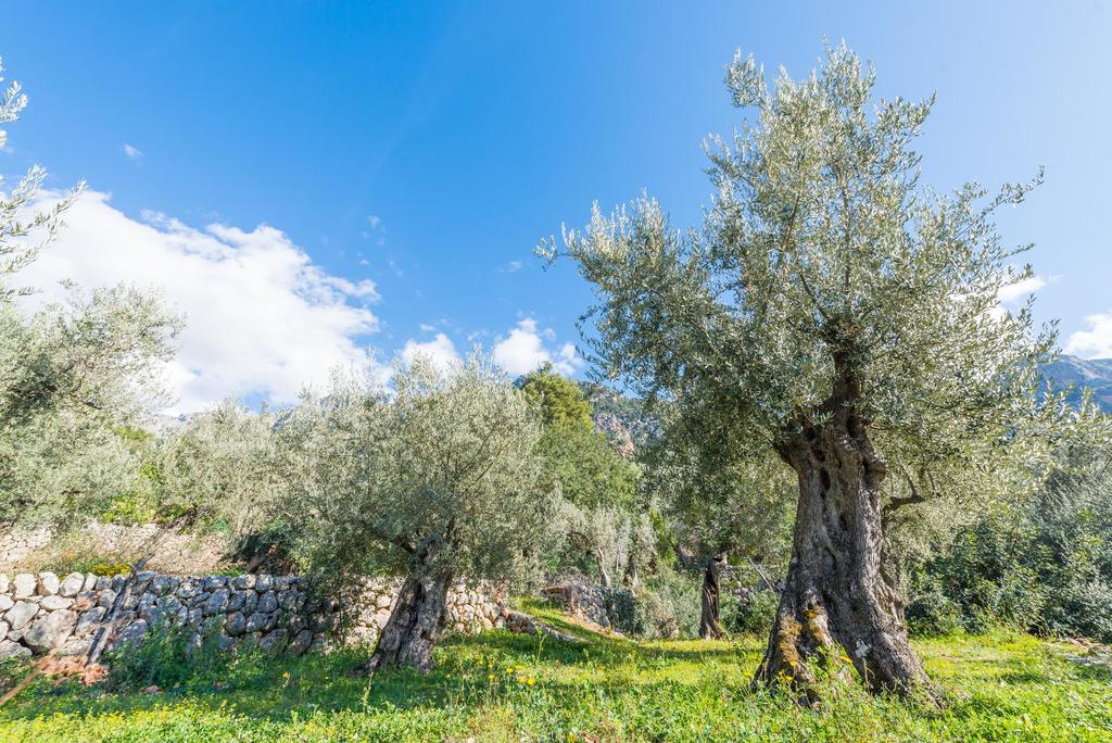 S'Olivaret Fornalutx Esterno foto